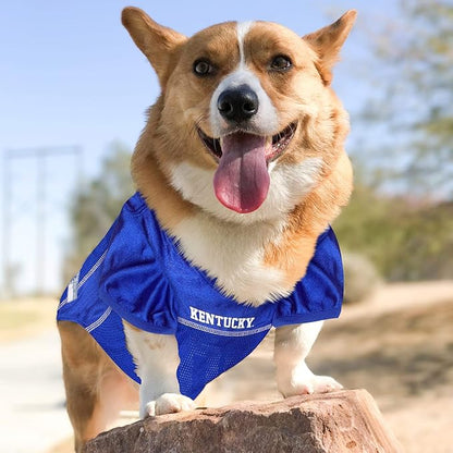 Pets First NCAA College Kentucky Wildcats Mesh Jersey for Dogs & Cats, XX-Large. Licensed Dog Jersey with Your Favorite Football/Basketball College Team