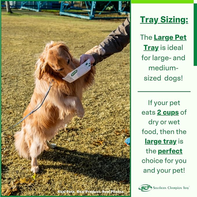 SCT, Large Disposable Pet Food Bowl, 2 Cups (10 Quantity) Dog Food Tray, Travel pet Bowl, Feeding Cats and Dogs, Wet Food and Dry Food, Two Cups Capacity, 10 Count