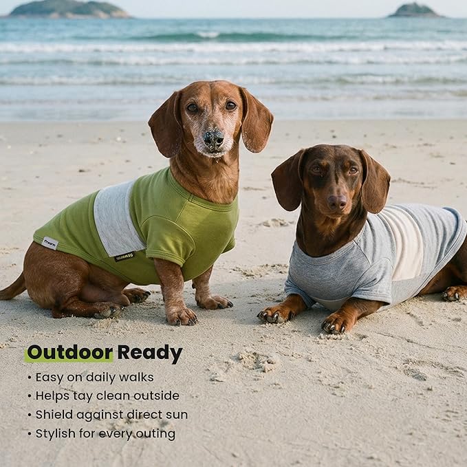 Fitwarm 3 Pack Color Block Striped Dog Shirt, Summer Dog Clothes for Small Dogs, Breathable Lightweight Pet Tshirt with Sleeves, Cat Outfit, Oliver Green, Grey, Black, Medium