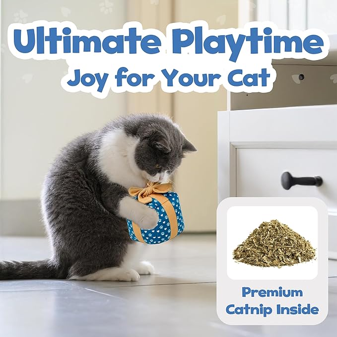 PUPROAR Gift Box Cat Toy, Cat Birthday Toy with Catnip and Crinkle, Cute Indoor Gift for Cats