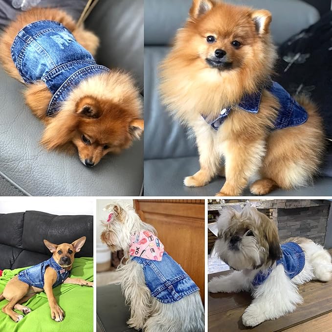 Dog Jean Jacket, Blue Denim Shirt Classic Lapel Vest Coat Costume Puppy T-Shirt, Comfort Tank Top Cool Apparel, Washed Pet Clothes for Dogs Boy Girl (Blue, Small)