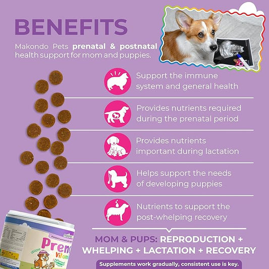 Dog Prenatal Vitamins – 120 Soft Chews Multivitamin, Folic Acid, Zinc, B-Complex, DHA & EPA Omegas and Probiotics Supplement for Pregnant, Nursing Breastfeeding pet – Mom & Puppy Vitamin Formula.
