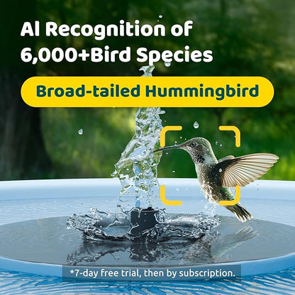 Birdfy Smart Bird Bath with Camera Solar Powered & Fountain, Dual-Lens Camera for Wildbird Watching, Auto Capture Bird Videos & Motion Detection - AI by Subscription (Blue)