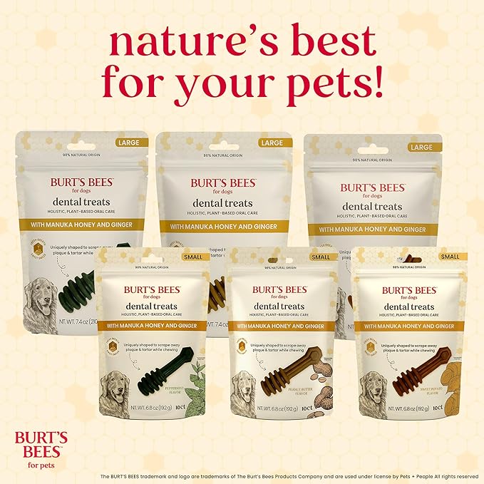 BURT'S BEES FOR PETS Dental Treats for Dogs with Manuka Honey & Ginger, Holistic, Plant-Based Oral Care, 98% Natural Origin Formulas, Sweet Potato Flavor, Dog Treats Medium Dogs, Sz Md/Lg 5ct, 7 oz