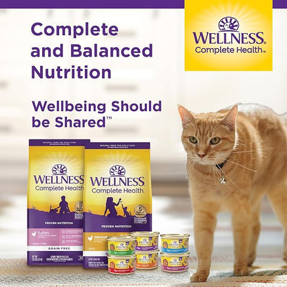 Wellness Complete Health Adult Dry Cat Food for Indoor Cats, Natural, Grain Free Kibble, Chicken Recipe, 5.5 lb Bag