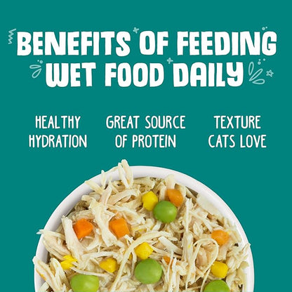 Weruva Classic Cat Food, Funky Chunky Chicken Soup with Pumpkin in Chicken Soup, 5.5oz Can (Pack of 24)