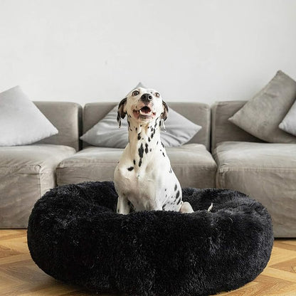 HACHIKITTY Calming Donut Cuddler Dog Bed, Indoor Puppy Beds for Large Dogs, XLarge 36''