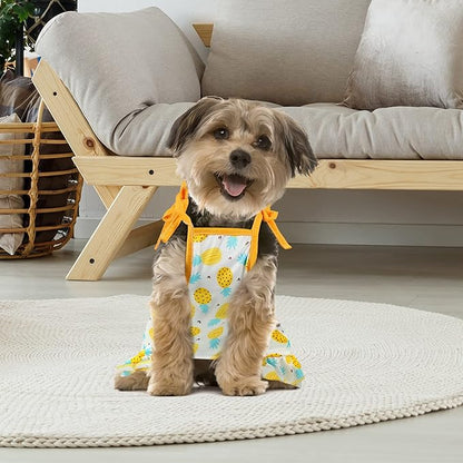 Frienda 4 Pieces Dog Clothes Set Include 2 Pcs Cute Pet Dress Lovely Dog Dress and 2 Pcs Breathable Pet T Shirt Puppy Clothes(Pineapple, Sunflower,Medium)