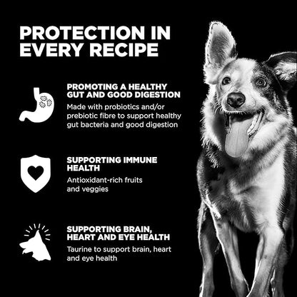 Go! Solutions Skin + Coat Care Chicken Dry Dog Food with Grains, Healthy Kibble with Omega-3s & 6s for Soft, Shiny Fur, for Puppies, Adults, & Seniors, 3.5 lb Bag