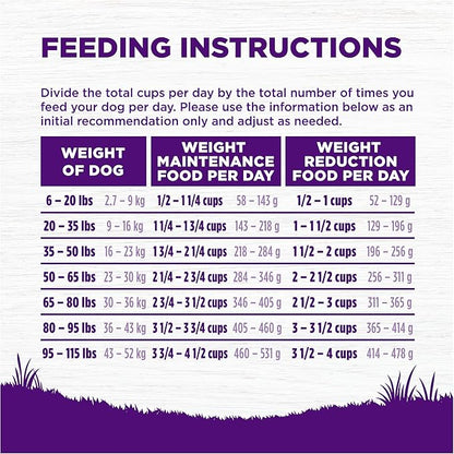 Wellness Complete Health Healthy Weight Adult Dry Dog Food, Wholesome Grain Kibble, Chicken and Peas Recipe, 13 lb Bag