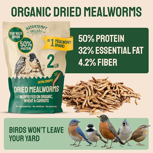 Hatortempt 2lb Dried Mealworms for Chickens - 50% Protein and 32% Essential Fats to Support Healthy Feather Growth During Molt - Organic Treats for Chickens, Ducks, Wild Birds & Reptiles