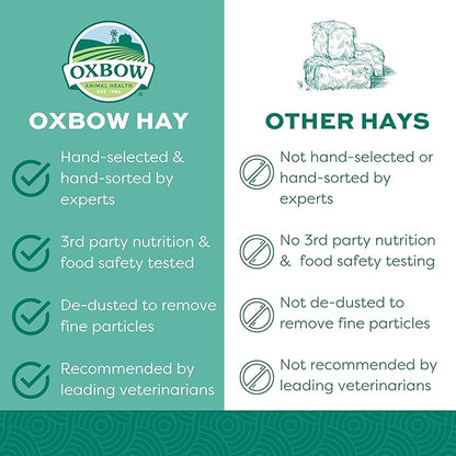 Oxbow Western Timothy Hay for Small Pets – All-Natural Grass Hay for Rabbits, Guinea Pigs, and Chinchillas – High Fiber for Digestive Health and Dental Support – 40 oz Bag