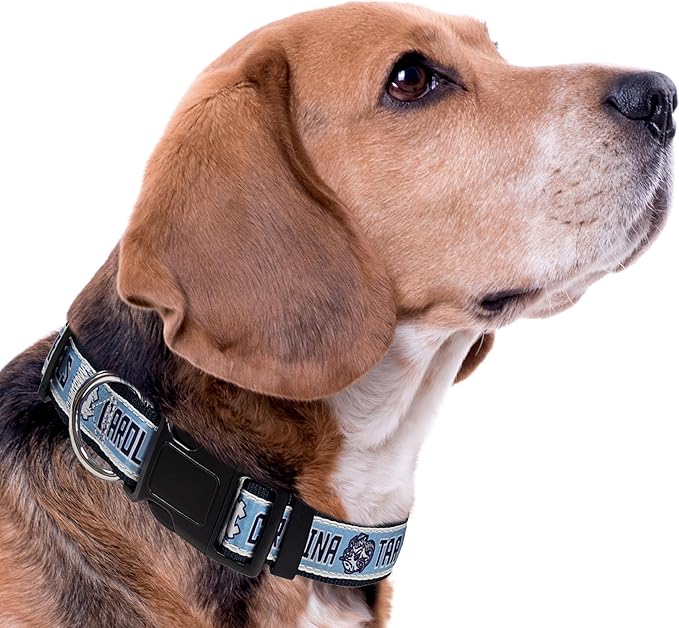 Pets First Collegiate PET Collar NEW VERSION Mississippi Ole Miss Rebels Dog Collar, Size Small. Best Sports Team Color for Dogs & Cats. A Shiny & Colorful Dog & Cat Collar Licensed by The NCAA