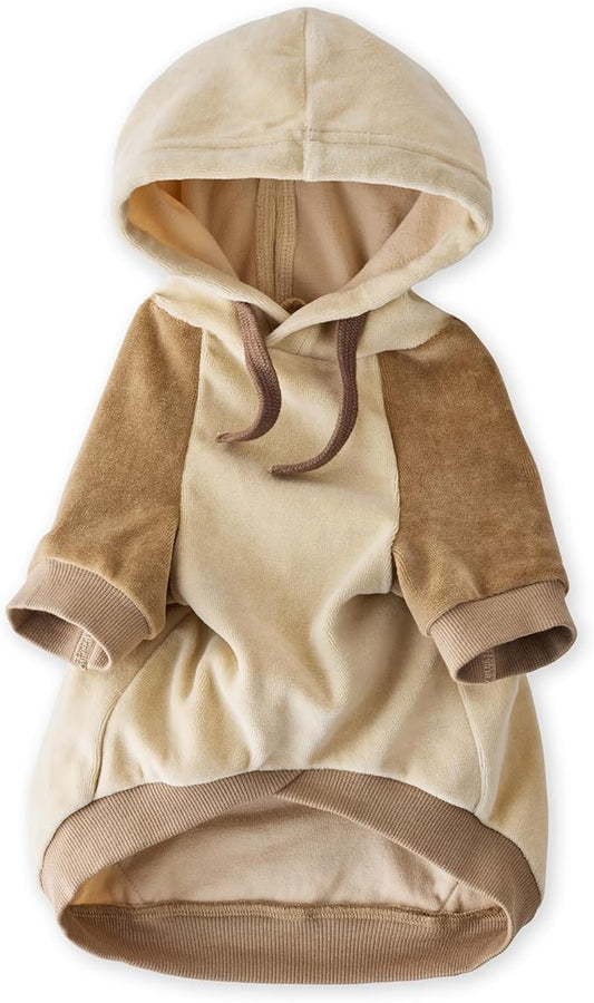 Pet Passion Cooper II Organic Cotton Velour Dog Hoodie Pet Coat for Small, Medium and Large Dogs, Coffee Color Block, X-Small (5-12 lbs)
