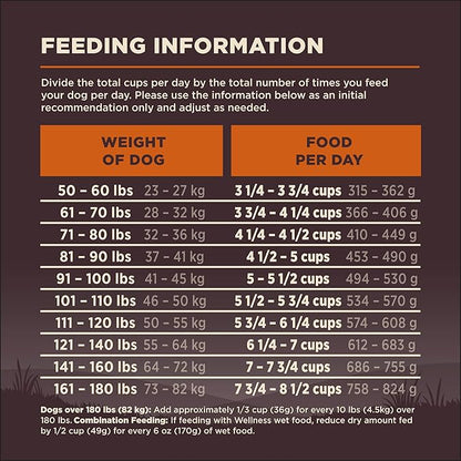 Wellness CORE Large Breed Puppy Dry Dog Food, Grain Free Kibble, Natural, High Protein, Chicken and Turkey Recipe, 26 lb Bag