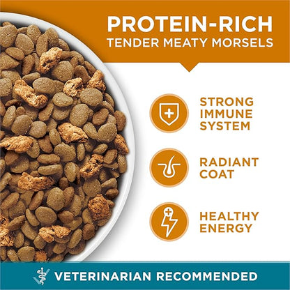 Purina ONE Natural Dry Cat Food, Tender Selects Blend With Real Chicken - 16 Lb. Bag