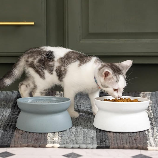 Kitty City Elevated Slow Feeder Cat Bowls (Set of 2), Whisker-Friendly Raised Cat Food Dishes with Ridges, Helps Reduce Fast Eating & Digestion Issues, Dishwasher Safe, 10.8 oz – White & Gray