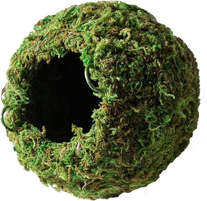 Galápagos (05348) Mossy Cave Hide, 6", Green Sphagnum