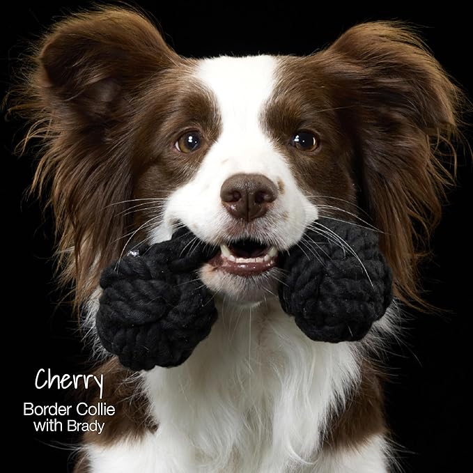 Pet Passion Brady The Rope Tug Toy 3-Pack Organic Cotton Dog Rope Pull Toys for All Pet Breeds, Halloween, One Size