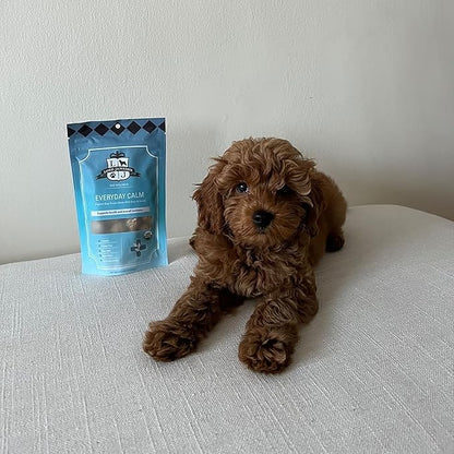 Lord Jameson Everyday Calm Soft & Chewy Organic Dog Treats - Organic Peanut Butter & Soothing Chamomile - No-Bake Recipe - Gluten-Free, Preservative-Free, USDA Certified Organic - Made In USA 6 oz