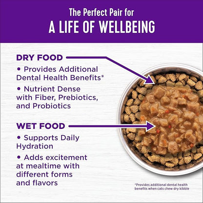 Wellness Complete Health Adult Dry Cat Food, Natural, Wholesome Grains Kibble, Salmon Recipe, 5 lb Bag