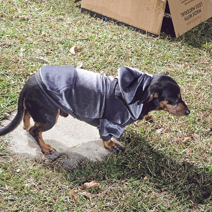 BEAUTYZOO Dog Hoodie Sweaters for Small Medium Dogs- Warm Fall Winter Fleece Jacket for Cold Weather, Soft Velour Hooded Coat with Leash Hole & Pocket, Puppy Sweatshirt Clothes Bulldog Schnauzer,Grey