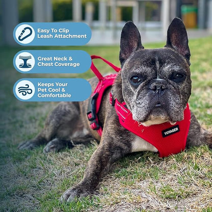 Best Pet Supplies Voyager Adjustable Step-in Flex Breathable Mesh Dog Harness for Small Medium Large Dogs Leash Set (Red), XS