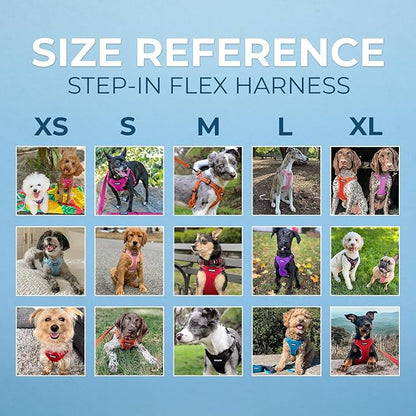Best Pet Supplies Voyager Adjustable Step-in Flex Breathable Mesh Dog Harness for Small Medium Large Dogs Leash Set (Turquoise), M
