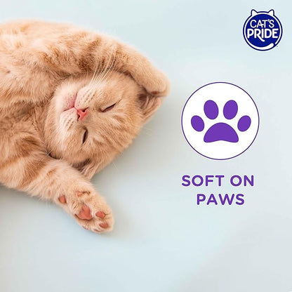 Cat’s Pride Micro Crystals Cat Litter, Non-Clumping, Scented, 30-Day Odor Control, 99% Dust Free, Lightweight, Soft on Paws, 6.5lb Bag