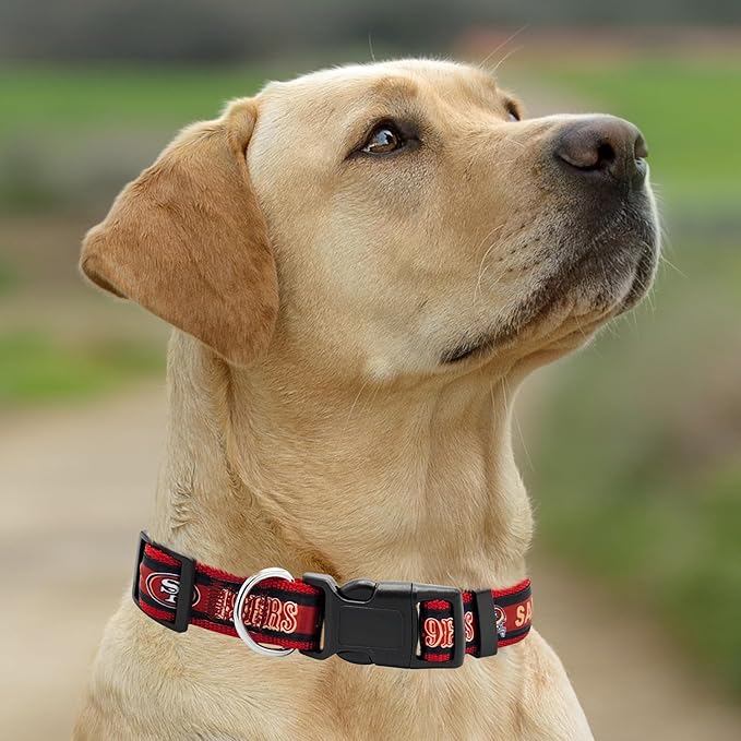 Pets First NFL San Francisco 49ers Licensed PET COLLAR, Small - Heavy-Duty, Strong, and Durable Dog Collar. Available in 31 Football Teams and 4 Sizes