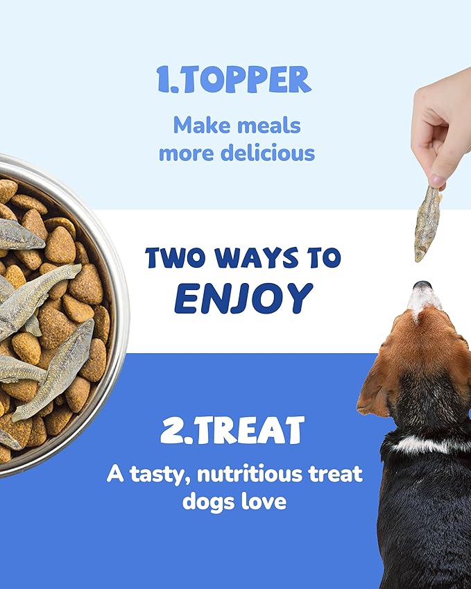 PAWUP Freeze Dried Minnows Dogs Treats – 100% Raw Single-Ingredient Pet Fish Snacks – Rich in Omega-3, Grain-Free – Healthy Training Rewards & Meal Toppers, 2.8 oz