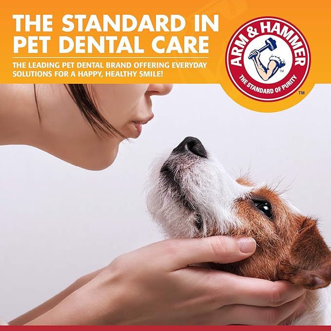Arm & Hammer for Pets Clinical Care Enzymatic Toothpaste for Dogs | Soothes Inflamed Gums | Dog Toothpaste Enzymatic, Chicken Flavor, 2.5 Oz | Arm and Hammer Toothpaste for Dogs, Dog Dental Care