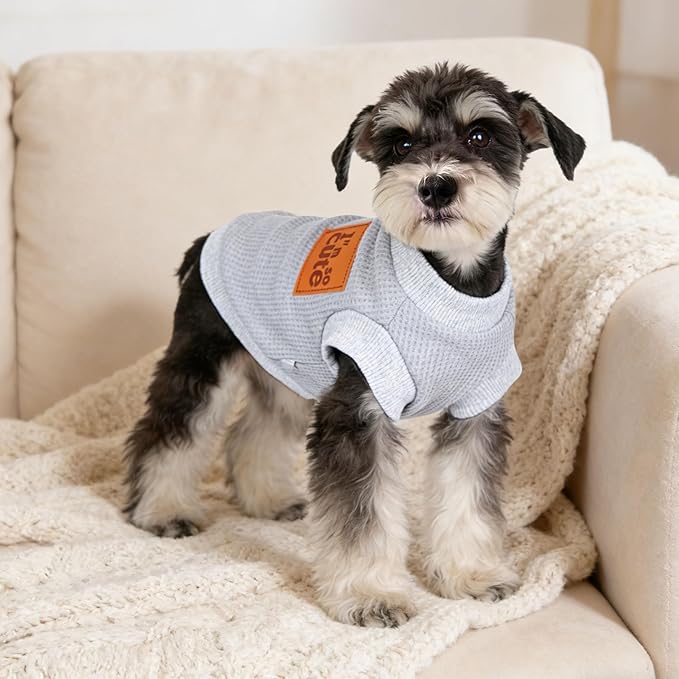 2 Pack Dog Shirt Vest Dog Clothes for Small Dogs Summer Waffle Puppy T-Shirts Soft Sleeveless Pet Clothes Lightweight Medium Large Doggy Outfit Cat Clothing (Blue+Grey, Medium)