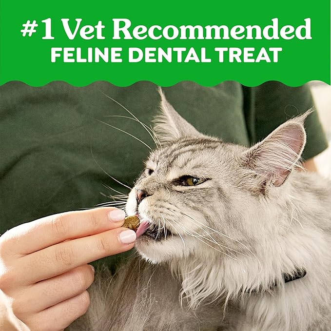 Greenies Cat Treats, Feline Veterinarian-Recommended Adult Natural Dental Treats, Catnip Flavor, 21 oz. Tub