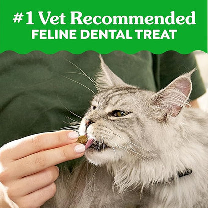 Greenies Cat Treats, Feline Veterinarian-Recommended Adult Natural Dental Treats, Catnip Flavor, 21 oz. Tub
