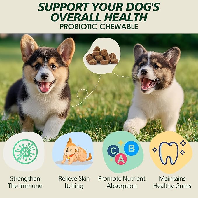 Probiotics for Dogs Gut Health, Digestion, Immunity, Relieve Diarrhea, Dog Probiotics Chews with Digestive Enzymes and Prebiotics, 200 Tablets (Chicken)