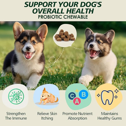 Probiotics for Dogs Gut Health, Digestion, Immunity, Relieve Diarrhea, Dog Probiotics Chews with Digestive Enzymes and Prebiotics, 200 Tablets (Chicken)