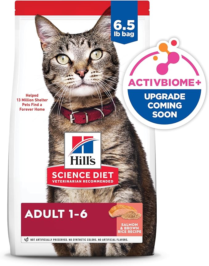 Hill's Science Diet Adult 1-6 Dry Cat Food, Salmon & Brown Rice, 6.5 lb. Bag