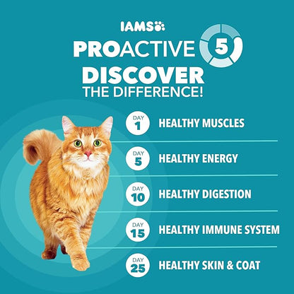 IAMS Proactive Health Dry Cat Food, Indoor Weight and Hairball Care Cat Food Dry Recipe, with Salmon, 16 lb. Bag