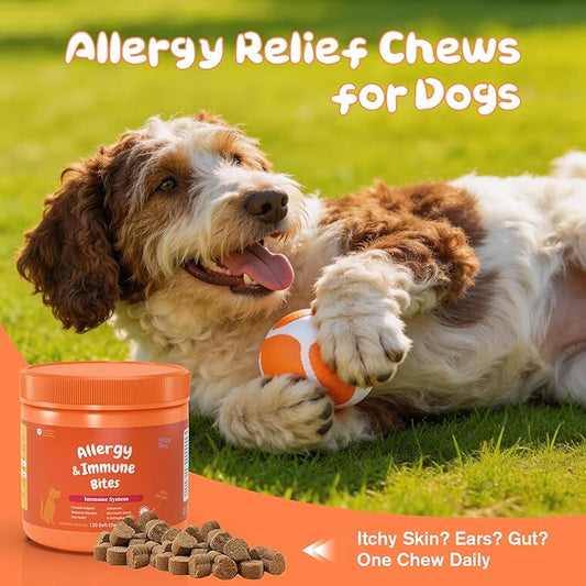 Dog Allergy Chews,Allergy & Immune Support Chews for Dogs, Dog is Human multivitamin Itch Relief, Ear Comfort, Probiotic Supplement and Digestive Health, Chicken Flavor, 120 Count