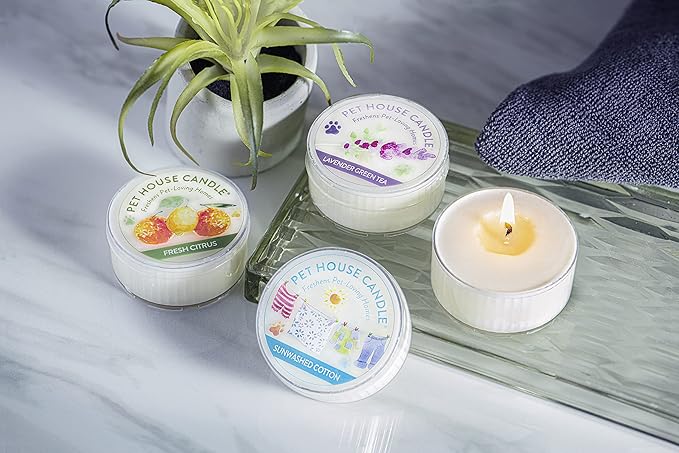 Pet House Mini Candles for Pet Odor Made with Natural Soy Wax, Plant Based, Dog and Cat Friendly Scented Candles, Fresh Citrus Pack of 3