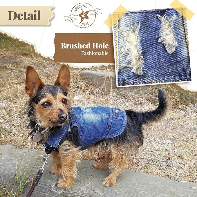 Cool Dog Jean Jacket Small Puppy Outfits Frenchie Clothes Denim Coats for Small Medium Dogs Cats Boys Girls Pet Vest Dog Shirt Clothing Doggy Costume (Blue, S（Suggest 4-6 lbs）)
