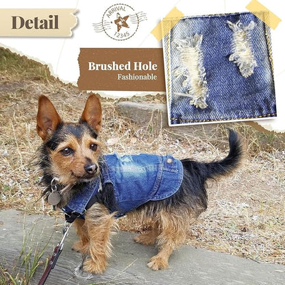 Cool Dog Jean Jacket Small Puppy Outfits Frenchie Clothes Denim Coats for Small Medium Dogs Cats Boys Girls Pet Vest Dog Shirt Clothing Doggy Costume (Blue, M（Suggest 6-9 lbs）)