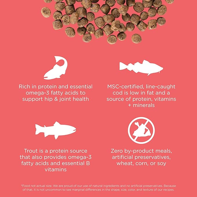 Go! Solutions Carnivore Salmon + Cod Grain-Free Dry Cat Food, Our Highest-Protein Kibble Made with Real Meat & Fish, Chicken-Free Recipe, for Kittens, Adults & Seniors, 8 lb Bag