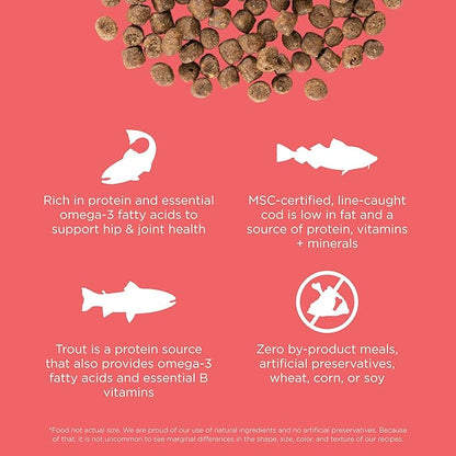 Go! Solutions Carnivore Salmon + Cod Grain-Free Dry Cat Food, Our Highest-Protein Kibble Made with Real Meat & Fish, Chicken-Free Recipe, for Kittens, Adults & Seniors, 8 lb Bag