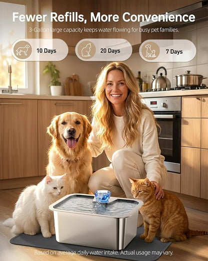 Dog Water Fountain with Silicone Mat - 3 Gallon Stainless Steel Pet Water Fountain with 6 Filters, Quiet Automatic Bowl Dispenser Drinking Waterer for Large Dogs & Multi-pet, Easy to Clean, Indoor Use