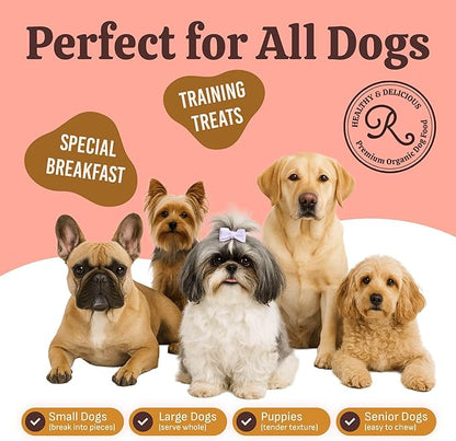 Rondi's Kitchen Organic Dog Pancake Mix - Natural Healthy Treat for All Dogs - Superfood Snack Made with Human-Grade Ingredients - Makes About 38 Pancakes - Chicken & Sweet Potato with Bone Broth