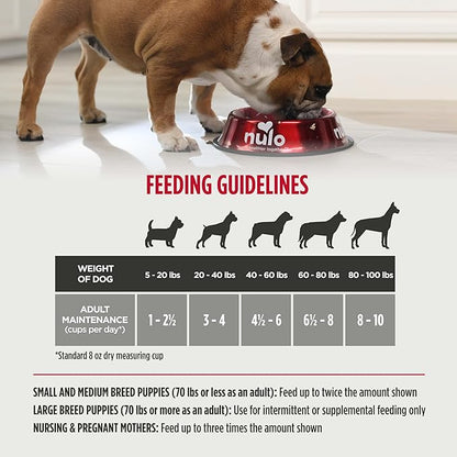 Nulo Freeze-Dried Raw Beef Recipe with Apples Complete and Balanced Dry Dog Food Kibble, 18 Ounce Bag