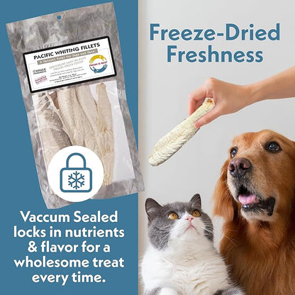 Fresh Is Best Freeze Dried Dog Treats – Raw Freeze Dried Fish for Cats & Canines in Resealable Zipper Bag – High-Protein One Ingredient Dog Treats – Pacific Whiting Fillets – Made in the USA