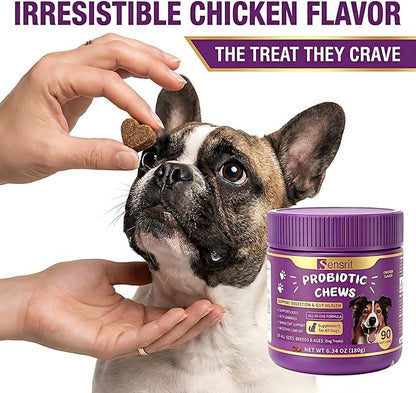 Probiotics for Dogs - 800M CFU Dog Probiotic Chews with Digestive Enzymes & Pumpkin | Seasonal Allergy, Itchy Skin & Immune Support for All Breeds - 90 Soft Chews, Chicken Flavor